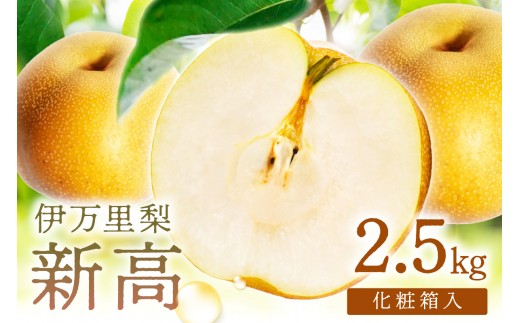 
                  【 数量限定 】 伊万里 梨 新高 2.5kg 化粧箱 199-B1087
                