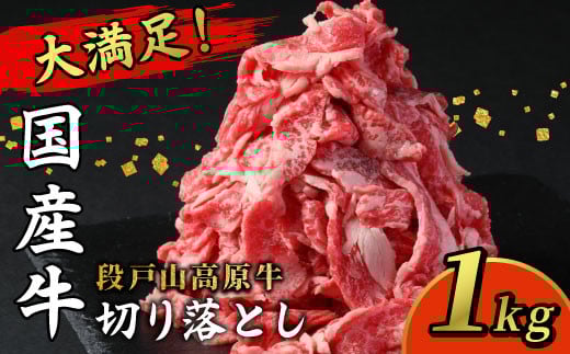 酒粕育ち 幻の牛 段戸山高原牛 切り落とし 国産牛 牛肉 細切り 1kg (200g×5） 1パック200ｇ 小分け 蓬莱泉 肉じゃが 牛丼