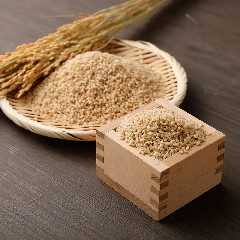 令和8年産 新米 コシヒカリ 玄米20kg（10kg×2袋）お米 健康食品 20000g 20キロ おこめ 米 ごはん こしひかり ブランド米 常温 国産 高知県 土佐清水市【R01737】