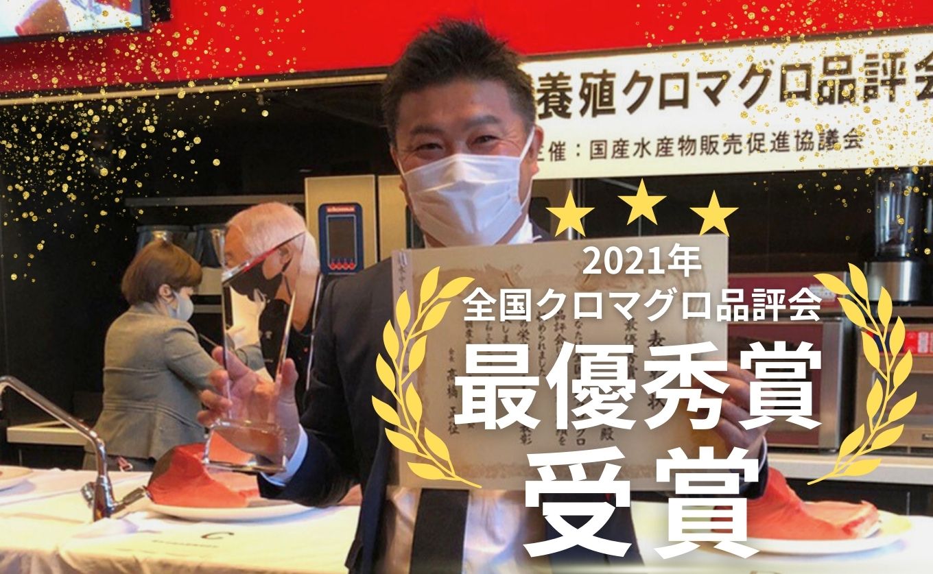 【訳あり】本マグロ 中トロ500g 不定貫 養殖マグロ 高知県産 指定日発送可能