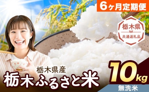 【6ヶ月定期便】米 栃木 ふるさと米 無洗米 10kg (5kg×2袋)《申込月の翌月から出荷開始》栃木県 野木町 米 国産 お米 おこめ お弁当 おにぎり【栃木県共通返礼品】