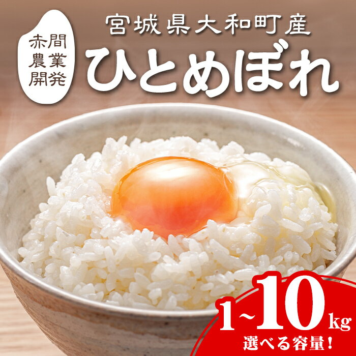 【ふるさと納税】【令和8年産 新米】＜先行予約受付中！R8年9月下旬から順次発送予定＞ひとめぼれ 精米 選べる容量！ 1～10kg お米 おこめ 米 コメ 白米 ご飯 ごはん おにぎり お弁当 1kg 5kg 10kg【赤間農業開発株式会社】ta461・ta718・ta721