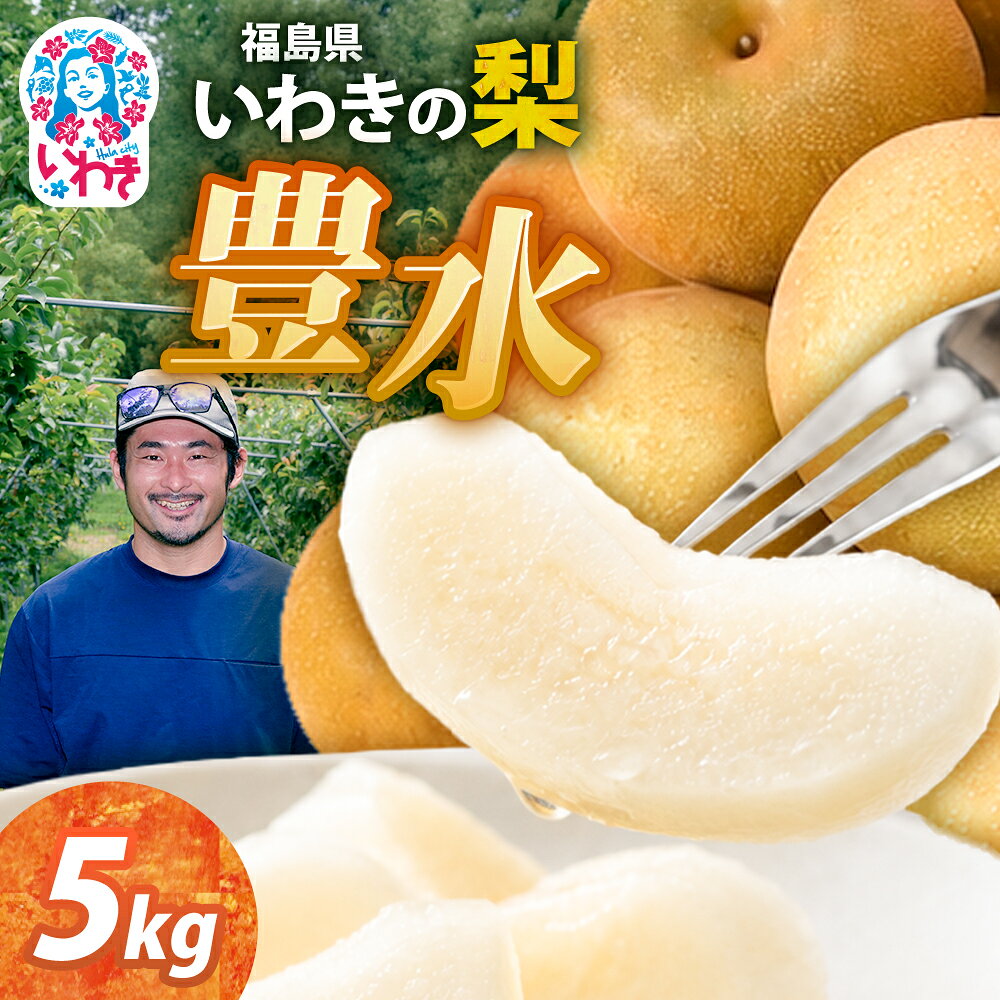 【ふるさと納税】梨（ 豊水 ）約 5kg 福島県 いわき市産 ｜ フルーツ 果物 くだもの 食品 人気 おすすめ 送料無料