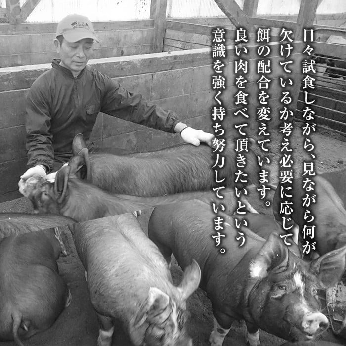 B-119 鹿児島黒豚うす切り肉3kg(200g×15パック)鹿児島県が誇る黒豚肉の薄切りを各200gの小分けにしてお届け【米平種豚場ふくふく黒豚の里】 霧島市 豚肉 切り落とし 小分け ぶたにく 豚