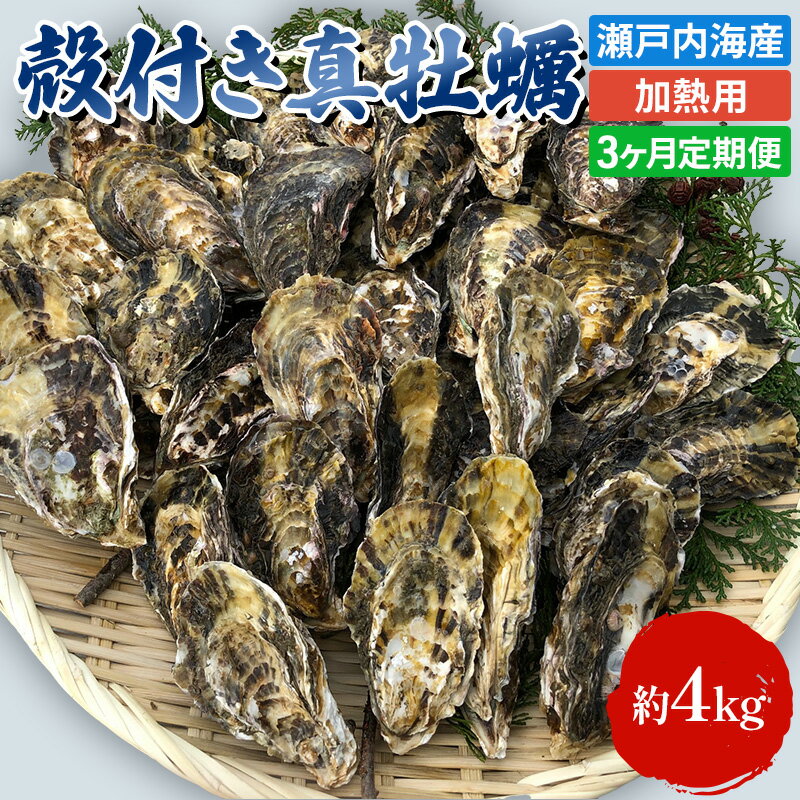 【ふるさと納税】定期便【1月より3ヵ月連続お届け】旬の牡蠣を食べ比べ！ 姫路産 殻付き真牡蠣（加熱用）約4kg／カキ かき 貝類 兵庫県 特産品 1年牡蠣 魚介類 　お届け：2026年1月中旬～2026年4月中旬