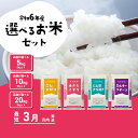 【ふるさと納税】選べるお米 5kg 10kg 5kgx2袋 20kg 5kg×4袋 令和6年産 先行予約 こしひかり にじのきらめき ミルキークイーン 食べ比べ 白米 精米 茨城県 八千代町