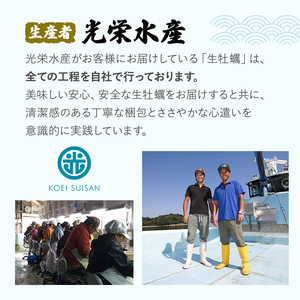  牡蠣 坂越かき 剥き牡蠣 500g×2[ 生牡蠣 かき カキ むき身 剥き身 生食 冬牡蠣 ] 魚貝類 魚介類 