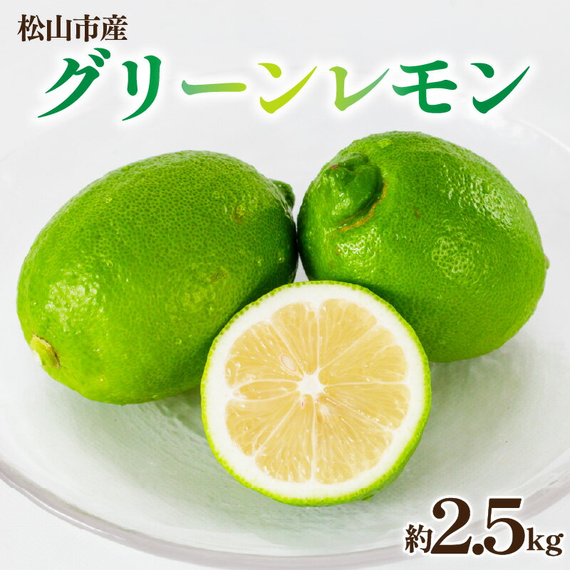 【ふるさと納税】 【数量限定】グリーンレモン 約2.5kg 【11月上旬頃より発送予定】 | レモン フルーツ 果物 れもん くだもの デザート 産地直送 数量限定 国産 送料無料 愛媛県 松山市