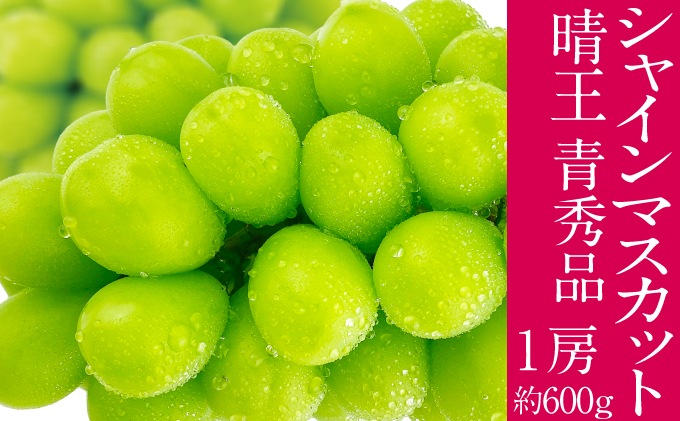 2026年予約受付中 シャインマスカット 晴王 7月～8月出荷 1房 約600g  人気 岡山県産 種無し 皮ごと食べる みずみずしい  フレッシュ 晴れの国 おかやま 果物大国 ハレノフルーツ