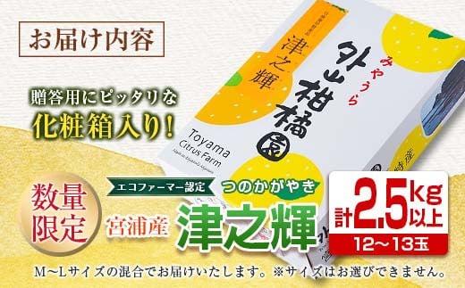 数量限定 津之輝 計2.5kg以上 果物 フルーツ くだもの みかん 柑橘 先行予約 2025年 期間限定 デザート おやつ ジュース フルーツサンド おすすめ 国産 食品 ギフト 贈り物 贈答 ご褒