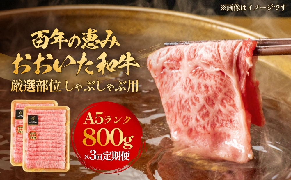 「百年の恵み おおいた和牛 」しゃぶしゃぶ用 800g × 3ヶ月 定期便 おおいた和牛 黒毛和牛 A5 等級 しゃぶしゃぶ用 牛肉 ロース 肩ロース もも 肩 部位 霜降り 血統 風味 脂肪 産地 九州 大分 肉 食材 グルメ 豊後牛