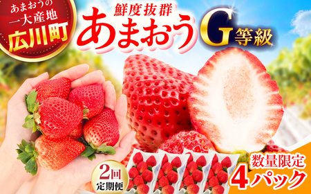 【2回定期便】 あまおうG等級 2ケース（270g×4パック） / いちご いちご いちご いちご いちご いちご いちご いちご [AFAB084]
