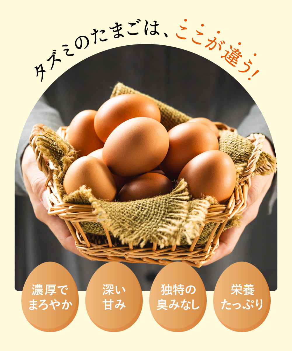 【TVで紹介されました】【定期便】タズミの卵Ｍサイズ（30個×3か月）022AB01N.