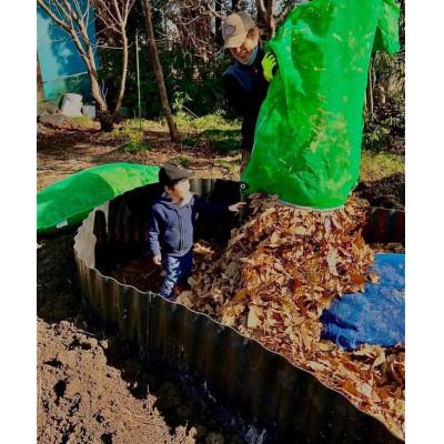 ふるさと納税 久喜市 令和7年産『てまひま米』　彩のかがやき　精米10kg(5kg×2) |  | 03