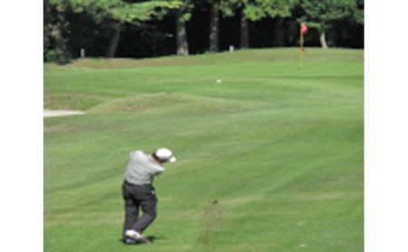 大垣カントリー倶楽部利用券（1000円券×30枚）