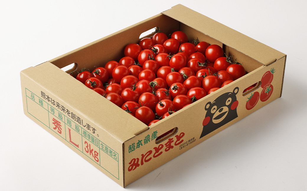 ミニトマト (3kg) トマト