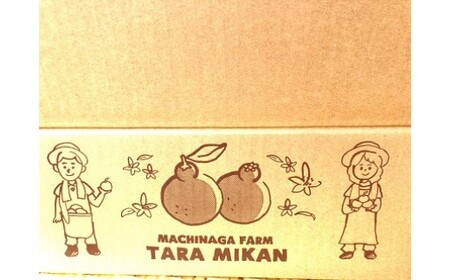 まちなが家族農園のハウス不知火（しらぬい）3kg 【2026年3月下旬～5月下旬まで順次発送予定】 しらぬい 不知火 でこぽん デコポン フルーツ くだもの 果物 ミネラル豊富 太良町 国産 贈答用 