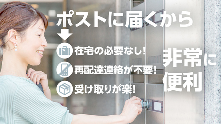 最短翌日出荷!! 【 お試しサイズ 】 コシヒカリ 600g (600g×1袋)  令和7年産 茨城県産 お試し ♪ 4合