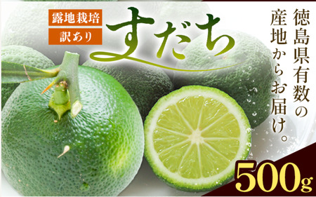 徳島県産 訳ありすだち 約500g《9月中旬-9月末頃に出荷予定(土日祝除く)》徳島県 佐那河内村 すだち サイズ不揃い B級すだち すだち キズあり すだち 不揃い