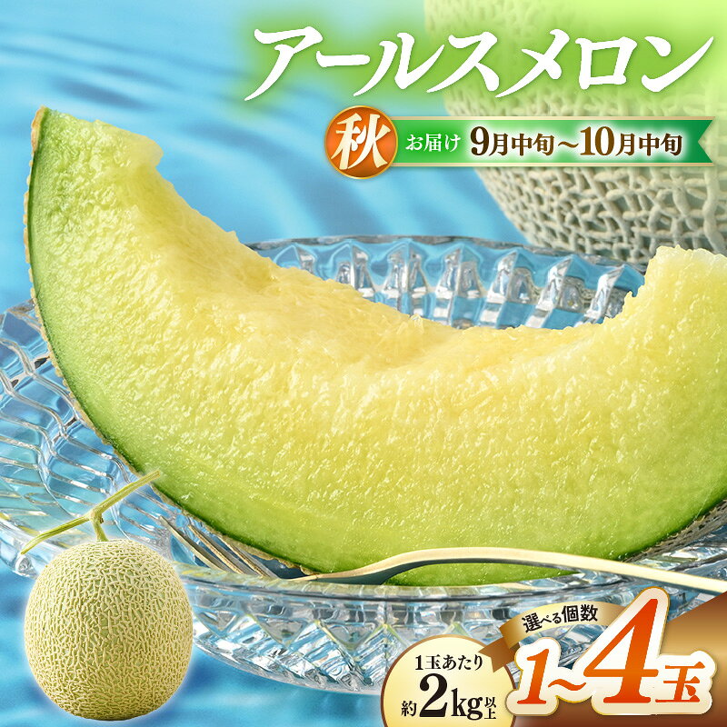 【ふるさと納税】【先行予約】秋 アールスメロン 1玉（約2kg以上）青肉品種 高級メロン！【選べる容量： 1玉 / 2玉 / 4玉 】 ／ マスクメロン 大玉 果物 フルーツ ギフト 農家直送 糖度 ※2027年9月中旬～2027年10月中旬の間に発送予定