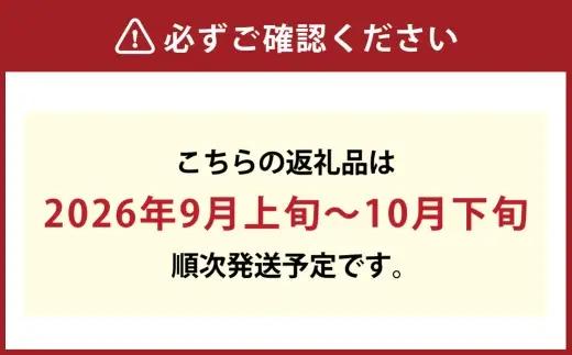 木熟ぶどう ハレノシャイン シャインマスカット晴王 2房 約1.4kg 果物 くだもの 果実 フルーツ 果汁 ぶどう 葡萄 ブドウ マスカット シャインマスカット 晴王 ブランド 皮ごと 国産 岡山県