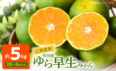 【2026年先行予約】有田みかん 約5kg ご家庭用 和歌山 ゆら早生 極早生 (SS、Sサイズ)【湯浅町】_AT6217n