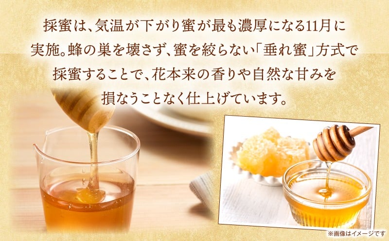 日本みつばち 高千穂の純粋蜂蜜 130g×2本|蜂蜜 はちみつ 日本みつばち 純粋蜂蜜 国産蜂蜜 天然蜂蜜 垂れ蜜 蜜蜂 希少 蜂蜜 濃厚 花 伝統製法 特産品 ふるさと納税 返礼品 宮崎県 高千穂町