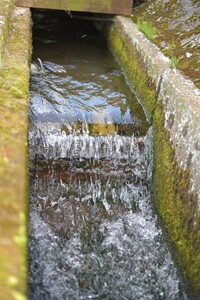 ＜高橋さん家のおいしいお米 5kg＞ 国産 白米 ライス ひなた米 精米 主食 ご飯 おにぎり 備蓄 防災 保存 ご飯 粒 ツヤツヤ 粘り あまみ 甘み お弁当 お昼 おこめ 内容量 5キロ 10キロ