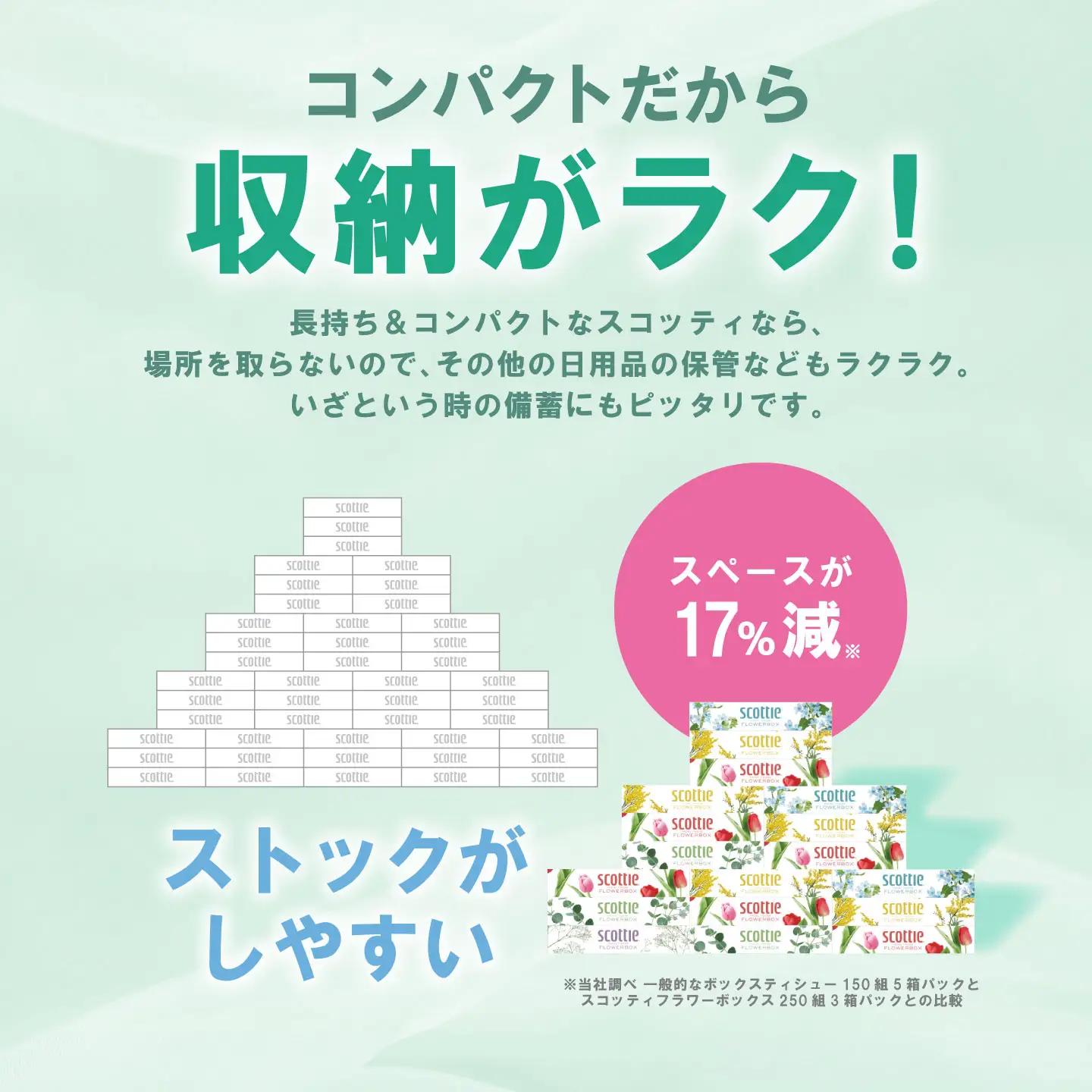 スコッティ ティッシュ 250組 20箱 ティシュー