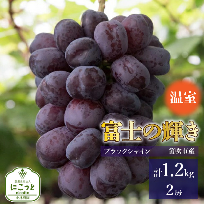 
            【2026年発送★先行予約】温室　富士の輝　２房（合計1.2kg） 097-024-26y
          