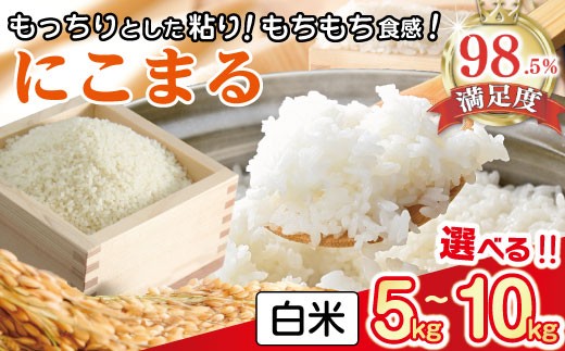 
                  【令和7年産】 近江米 にこまる 白米 5kg / 10kg 【VSKU1】 近江米 お米 白米 はくまい 5kg 10kg 滋賀県 近江八幡市
                