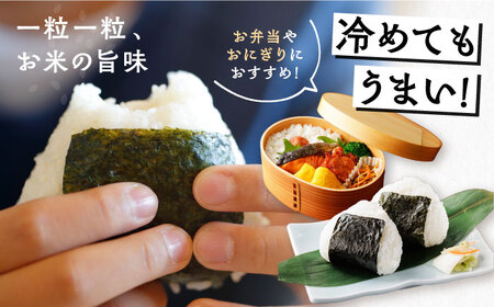 【12回定期便】　こしひかり 白米 5kg×12ヵ月 恵那 / お米 こめ コシヒカリ / 恵那市 / おこめのささき[AUAT004]