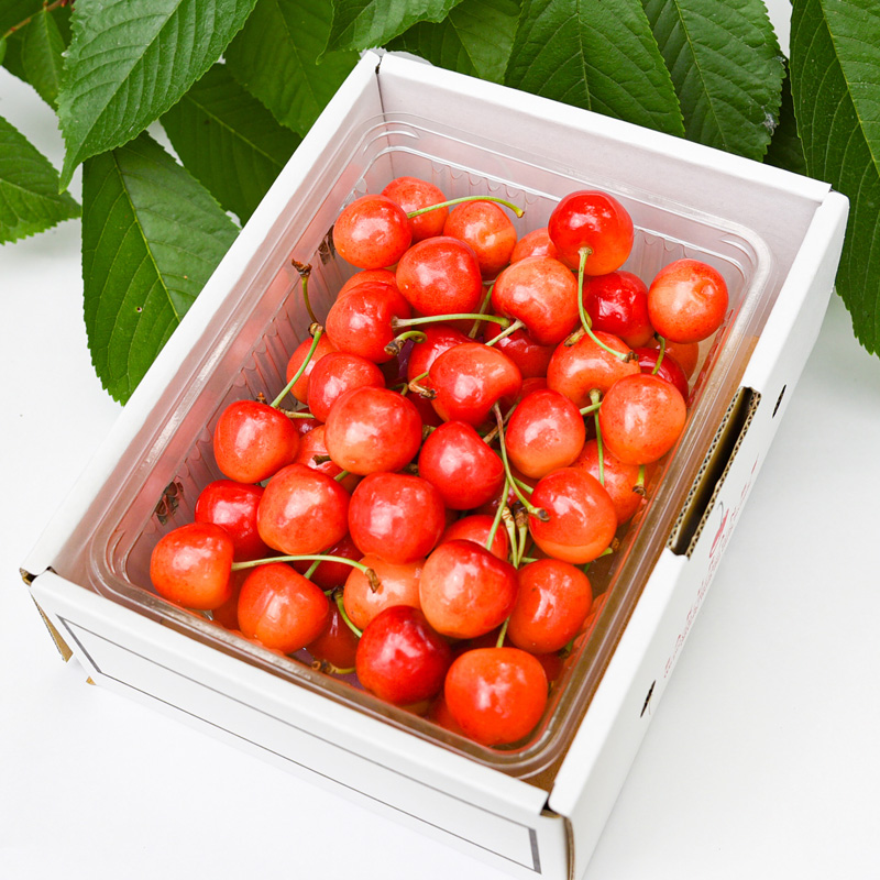 【定期便3回】人気ベスト3 ～山形代表 赤の宝石～【令和6年