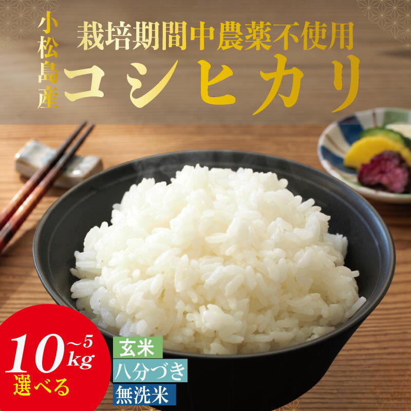 【ふるさと納税】 【選べる精米】 栽培期間中農薬不使用 玄米 八分づき 無洗米 5kg~10kg 令和7年産 コシヒカリ 米 こめ ご飯 ごはん おにぎり 卵かけご飯 白米 食品 備蓄 備蓄米 保存 防災 ギフト 贈答 プレゼント お取り寄せ グルメ 送料無料 徳島県