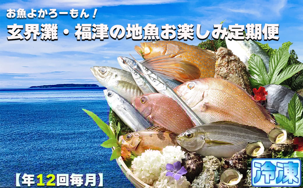 
            【年12回毎月】お魚よかろうもん！玄界灘・福津の地魚お楽しみ定期便【冷凍】【随時開始】[G7014]
          