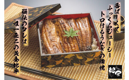 大人気！鯉家の極上蒲焼「大トロうなぎ270g (2尾セット/九州産/備長炭手焼き)」【国産】 1661-1