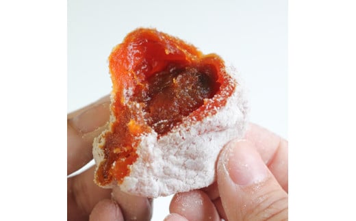 信州の特産品「市田柿」贈答用化粧箱 500g〈2027年1月中旬～1月末発送〉| 果物 くだもの フルーツ 柿 市田柿 干し柿 贈答用 長野県 信州 南信州 飯田市