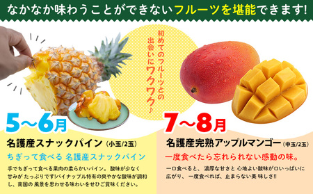 フルーツ定期【名護パイン園】旬の南国フルーツ定期便（6回コース）