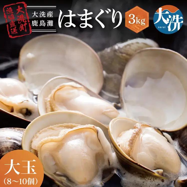 大洗産鹿島灘天然 はまぐり 3㎏  蛤 _BQ011
