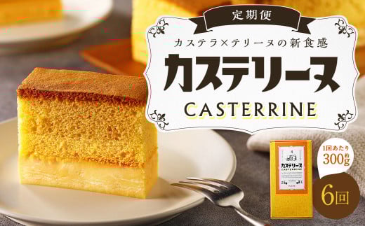【全6回定期便】長崎カステリーヌ 1本 ／ タナカヤ カステラ かすてら スイーツ デザート お菓子 菓子 長崎県 長崎市
