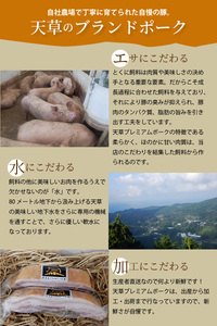 S058-026_天草プレミアムポーク 豚こま切れ 約1kg(約500g×2パック)