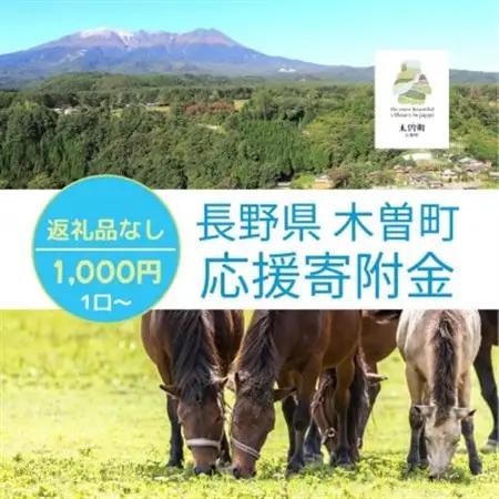 【返礼品なし】長野県木曽町応援寄附金(1,000円)