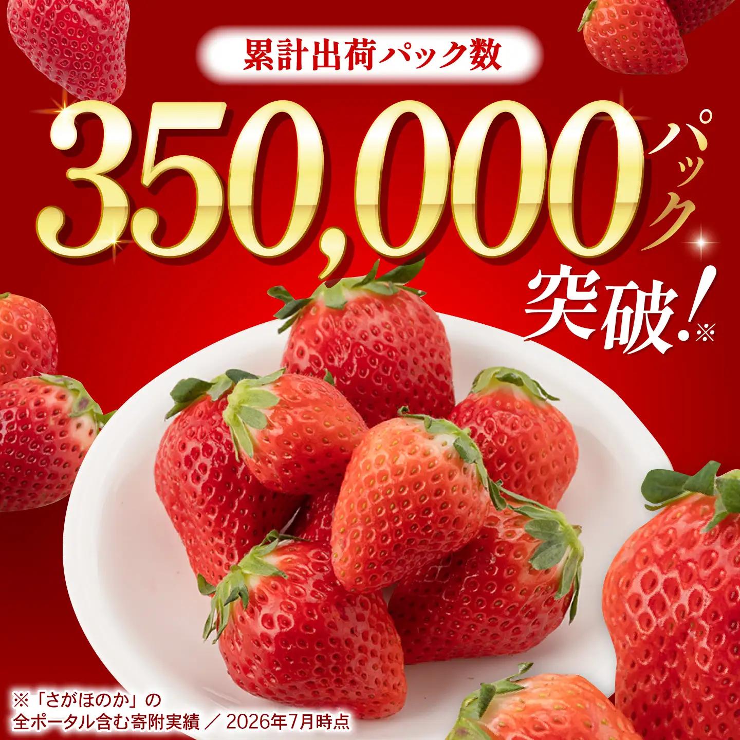 【先行予約 2027年1月〜発送】いちご さがほのか 1.8kg  いちご
