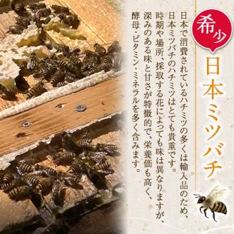 i631 《先行予約受付中！2025年10月上旬～2026年1月下旬の間に発送予定》＜数量・期間限定＞手作りミツロウラップ付き！日本ミツバチ・百花たれ蜜(400g) はちみつ 蜂蜜 ハチミツ ミツロウ
