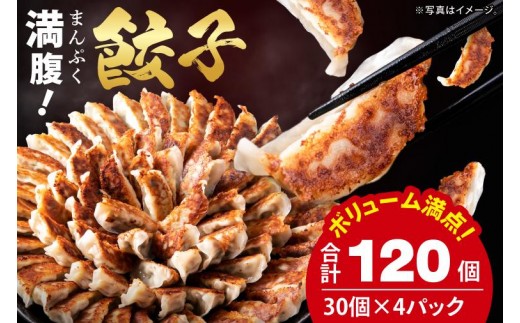 
                  満腹餃子 リピーター続出！ボリューム満点！120個（３kg ）老舗 大容量 国産 焼き餃子 冷凍 ぎょうざ ギョーザ 冷凍餃子 簡単調理 惣菜 おかず おつまみ スタミナ 高評価 水戸市 茨城県（EJ-13）
                