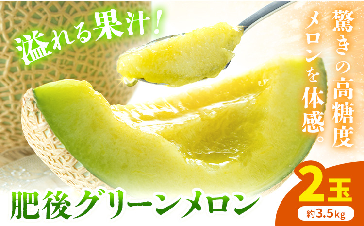 【先行予約】肥後グリーンメロン 2玉 約3.5kg 日本フルーツ株式会社《5月上旬-7月下旬頃出荷》熊本県 菊池市 メロン 熊本県産---308-5024---