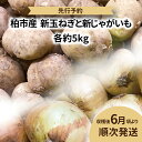 【ふるさと納税】【先行予約】【2025年6月発送】 たまねぎ じゃがいも 新玉ねぎ 新じゃが 野菜 詰め合わせ 各 5kg 合計 10kg ジャガイモ 新玉 新じゃがいも ポテト サラダ カレー 旬 国産 産地直送 千葉県産 柏市産 おいしい おすすめ 大量 夏野菜 予約