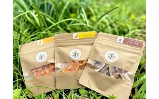 【先行予約】完熟早生みかん　宮川早生 1kgとドライフルーツのセット ※2025年12月から順次発送予定※【期間限定・11/30まで】 / 和歌山県 ミカン フルーツ 果物 柑橘 田辺市 【nak02