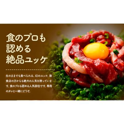 ふるさと納税 南阿蘇村 馬刺し 熊本 人気の 馬肉ユッケ たっぷり 500g 《30日以内に出荷予定(土日祝除く)》 |  | 01
