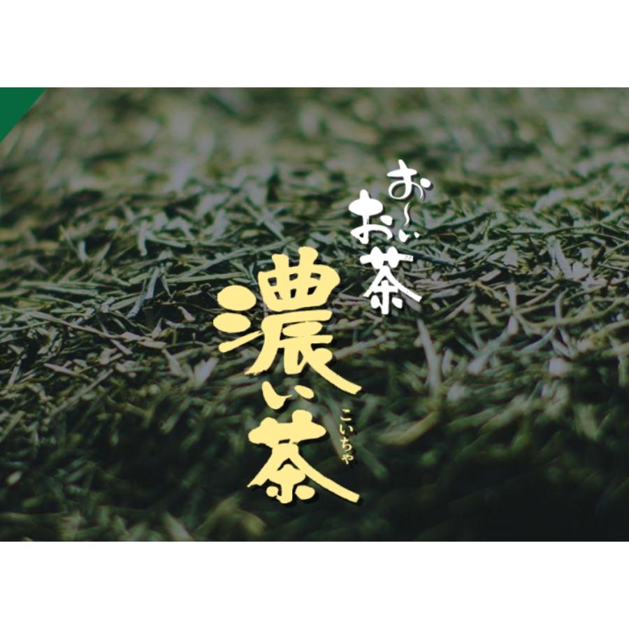 ＜伊藤園＞【機能性表示食品】伊藤園 お～いお茶濃い茶 PET345ml×24本